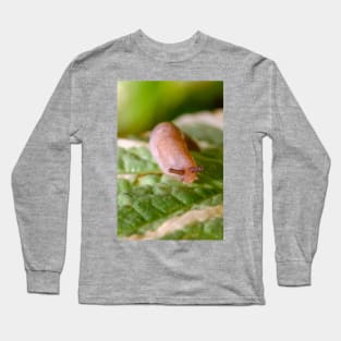 Cute Little Friendly Slug Nature Photograph Long Sleeve T-Shirt